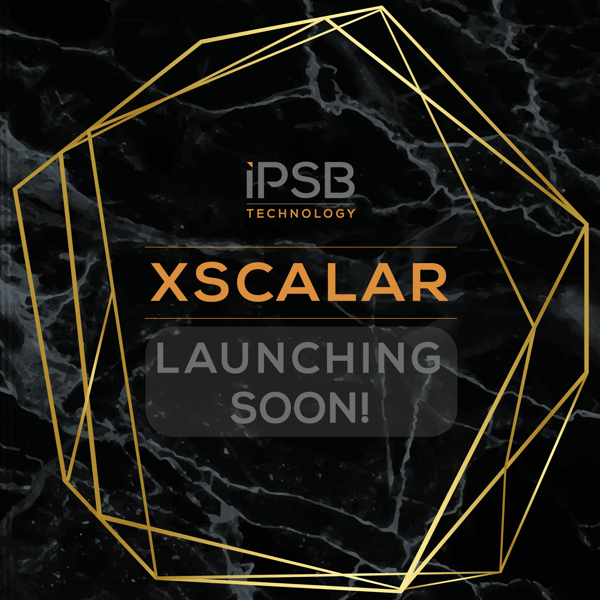 XSCALAR Countdown - Web XSCALAR Countdown - Web
